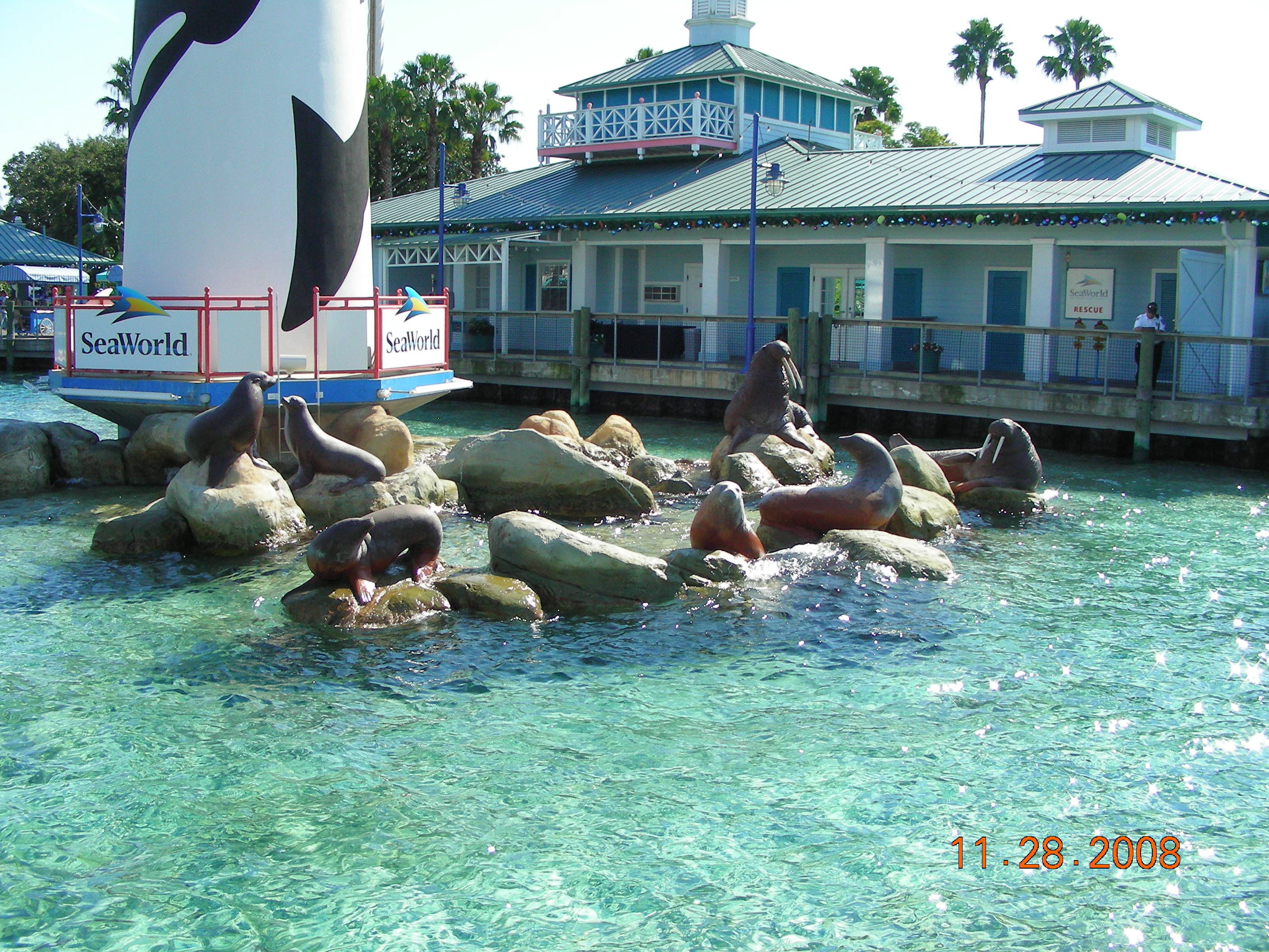 ./2008/Thanksgiving/Sea World/DSCN4603.JPG